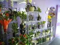 The Flower Shop Leeds 1093582 Image 3